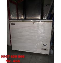 Tủ đông cũ Malaysia 300L