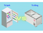 Nên lựa chọn thế nào giữa Tủ Lạnh và Tủ Đông